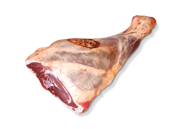 GIGOT